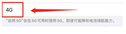 北碚苹果13维修分享iPhone 13恒定4G设置方法 